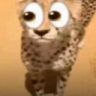 Ctrnyy