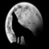 Moonwolf